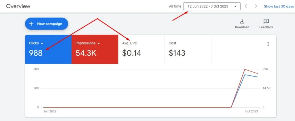 Google-ads-Case-Studie